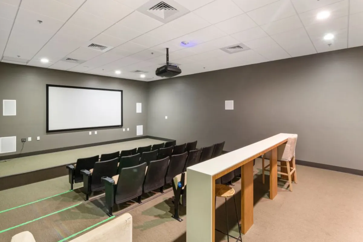 movie room